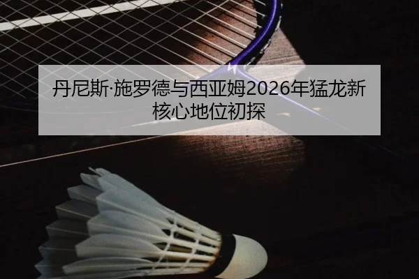 丹尼斯·施罗德与西亚姆2026年猛龙新核心地位初探